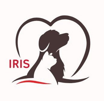 Przychodnia weterynaryjna IRIS