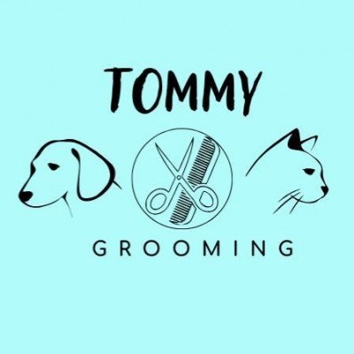 Tommy Grooming
