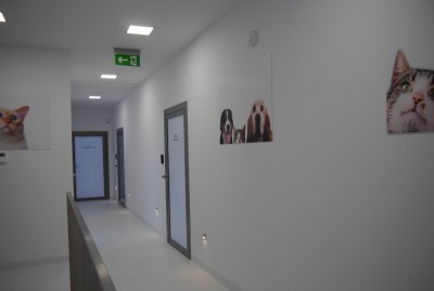 Przychodnia weterynaryjna Krak-Vet