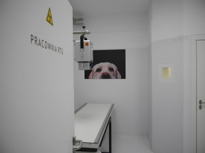 Przychodnia weterynaryjna Krak-Vet